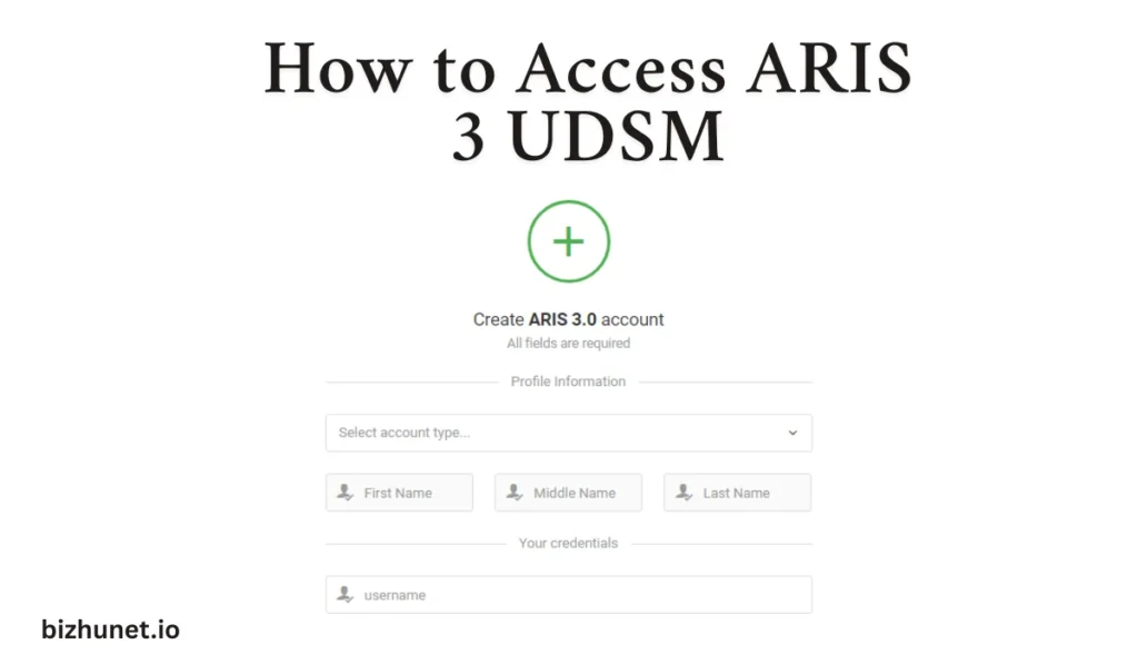 ARIS 3 UDSM