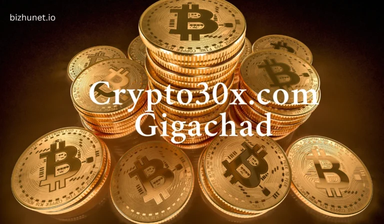 Crypto30x.com Gigachad