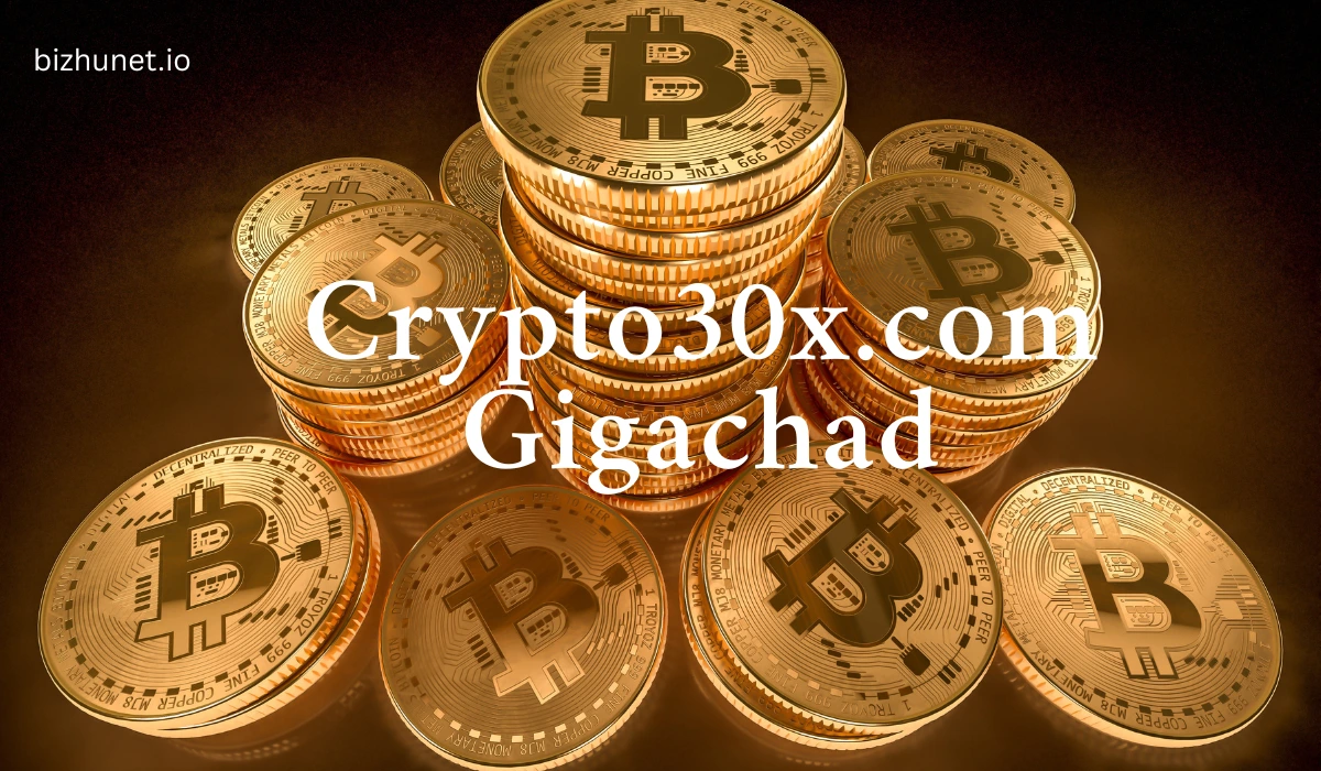 Crypto30x.com Gigachad