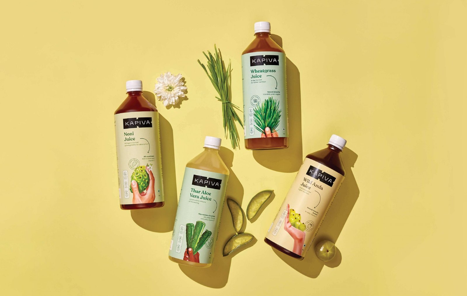 Why Indians Favour Patanjali and Ayurveda in Their Wellness Journey