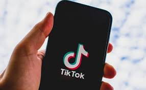 Is Snaptik the Best Tool for Downloading Private TikToks?