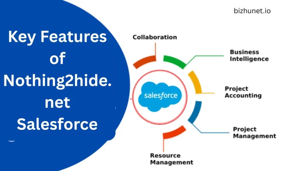 Nothing2hide.net Salesforce