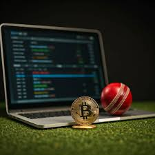 Best Crypto Betting Platform in India