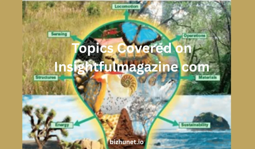 Insightfulmagazine com